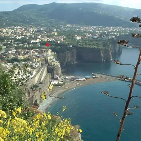 Cami Sea